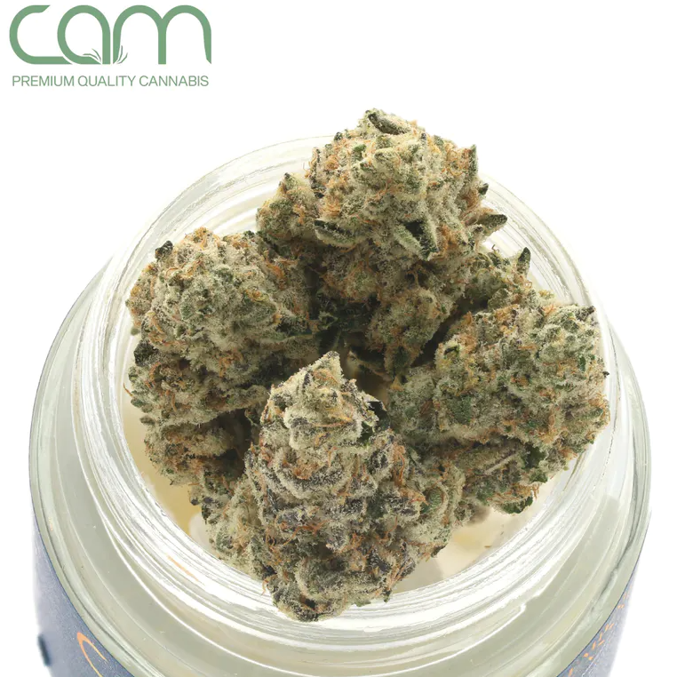 CAM | KUSH MINTS 3.5G (HYBRID)