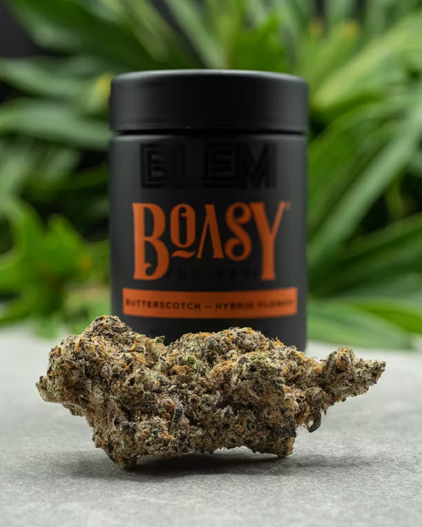 Boasy 3.5G